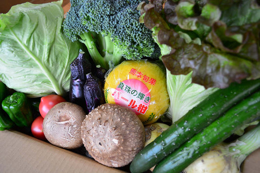 旬のお野菜セット